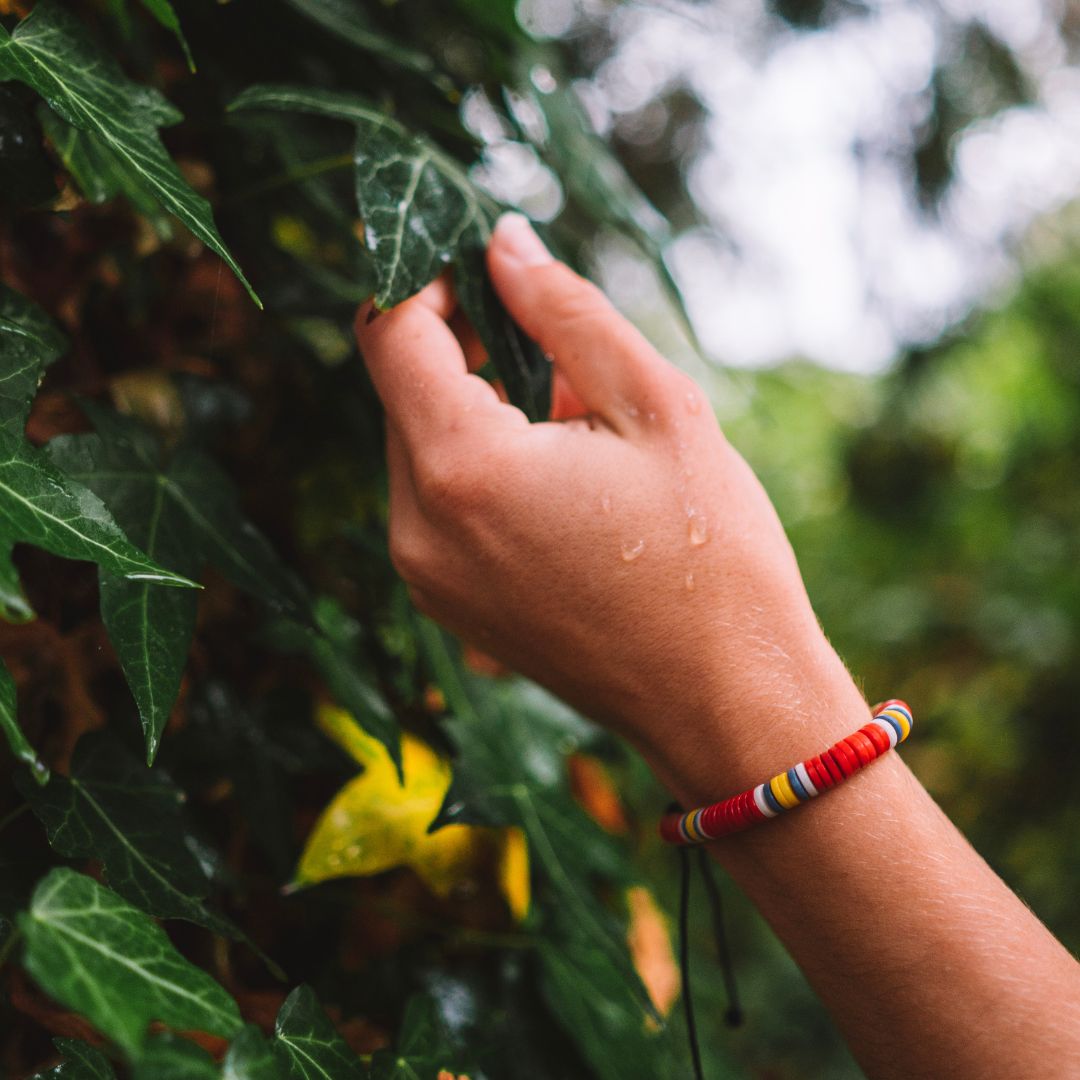 Endangered Macaw OMA Bracelet