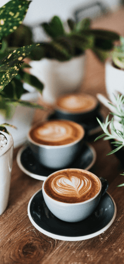 A group of lattes on a wooden table surrounded by house plants