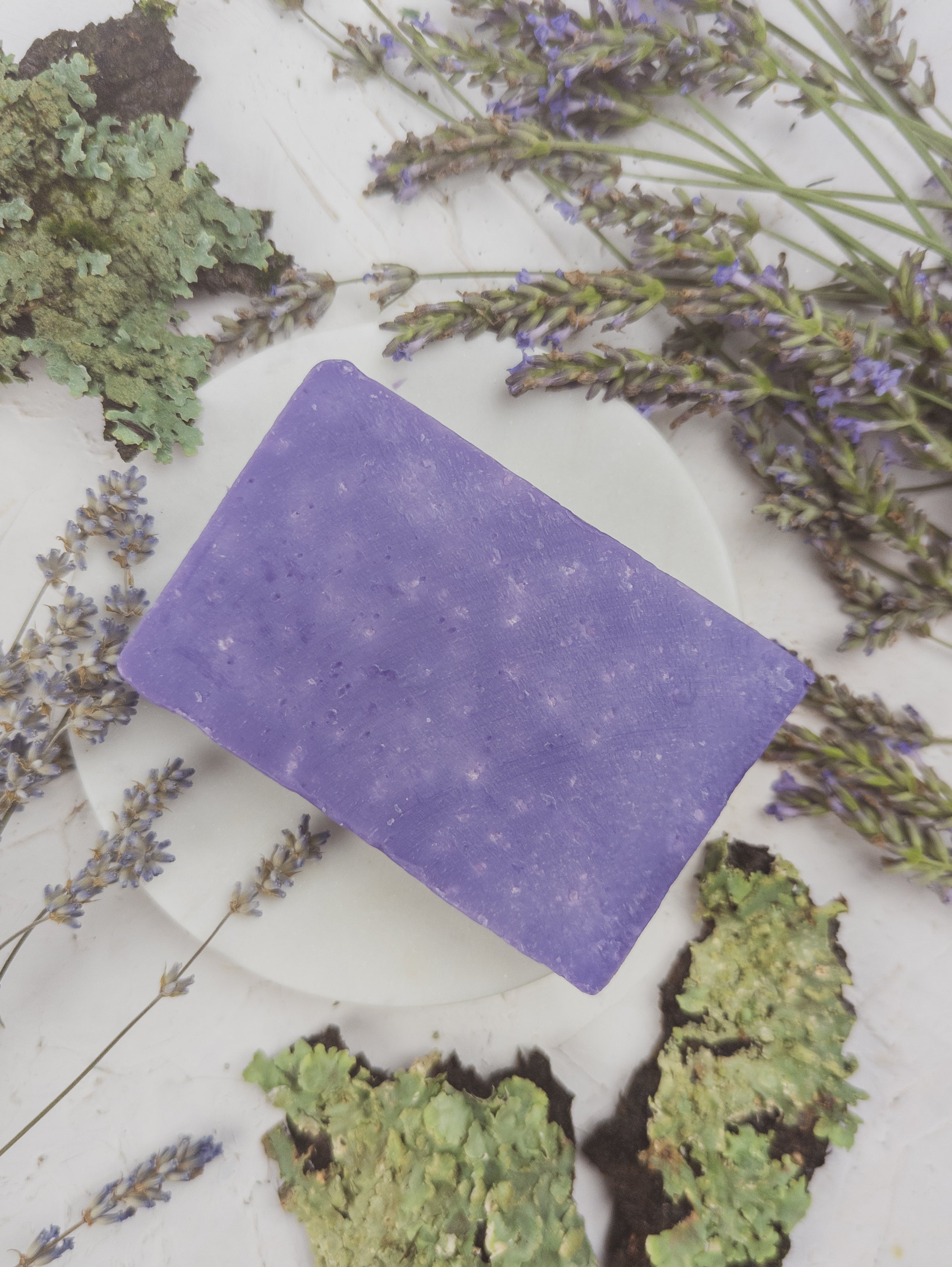 Lavender Oak Moss Soap Scrub Bar