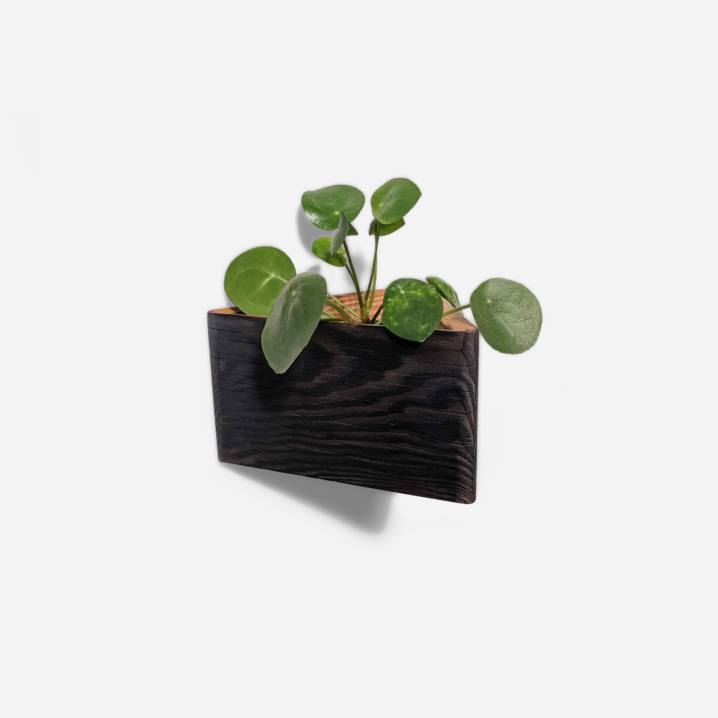 Triangle self-watering, wall-mounted planter by Formr