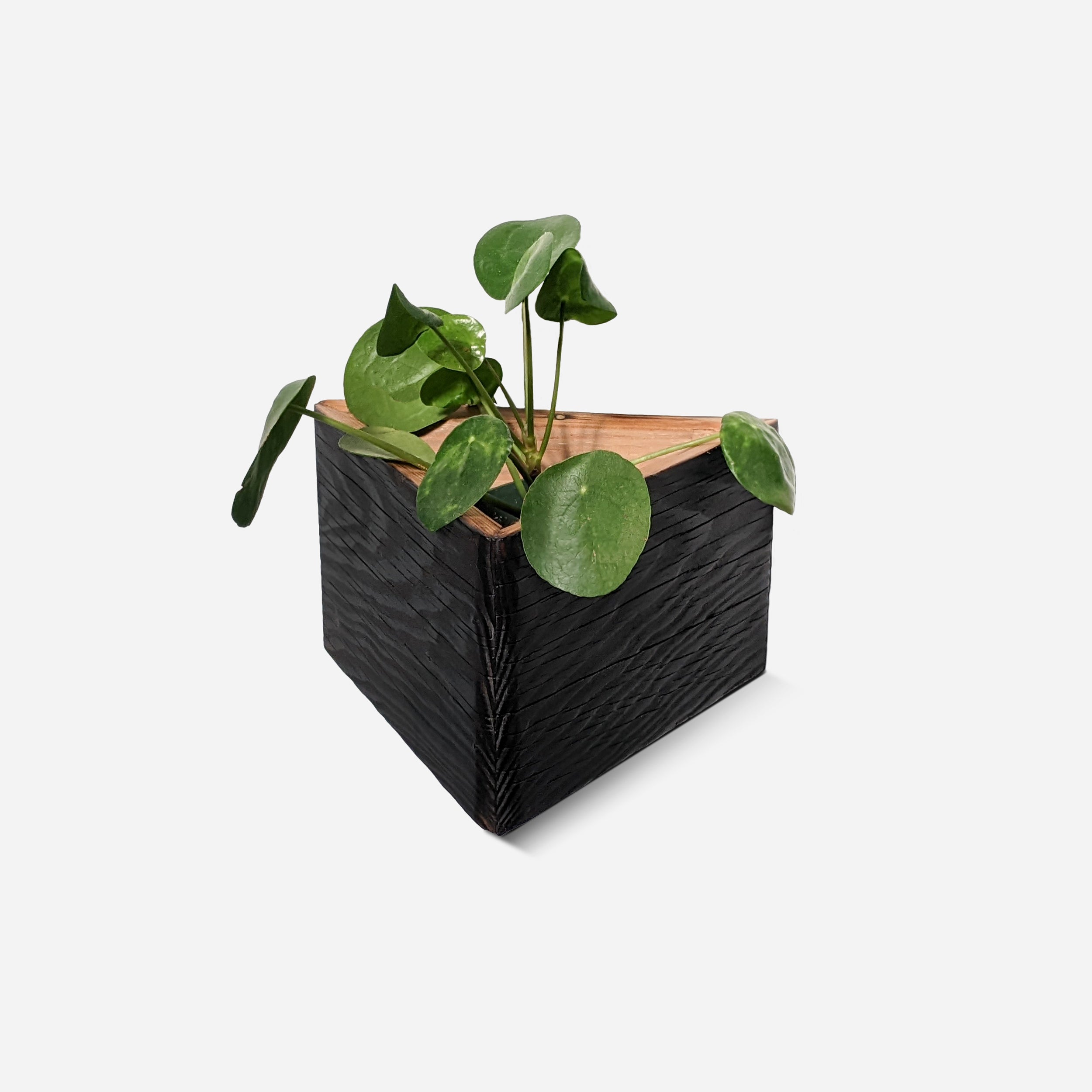 Triangle self-watering, wall-mounted planter by Formr