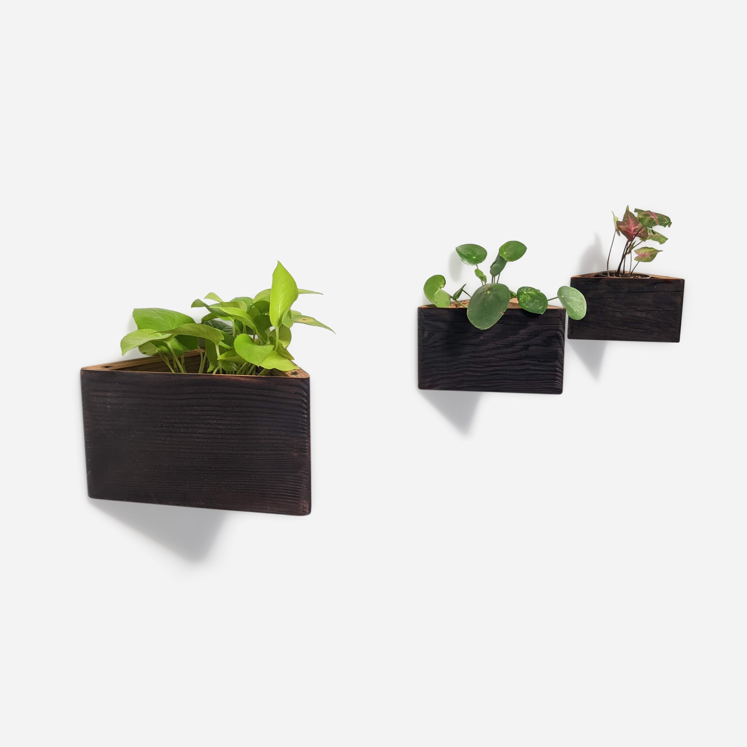 Triangle self-watering, wall-mounted planter by Formr