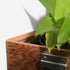 Triangle self-watering, wall-mounted planter by Formr