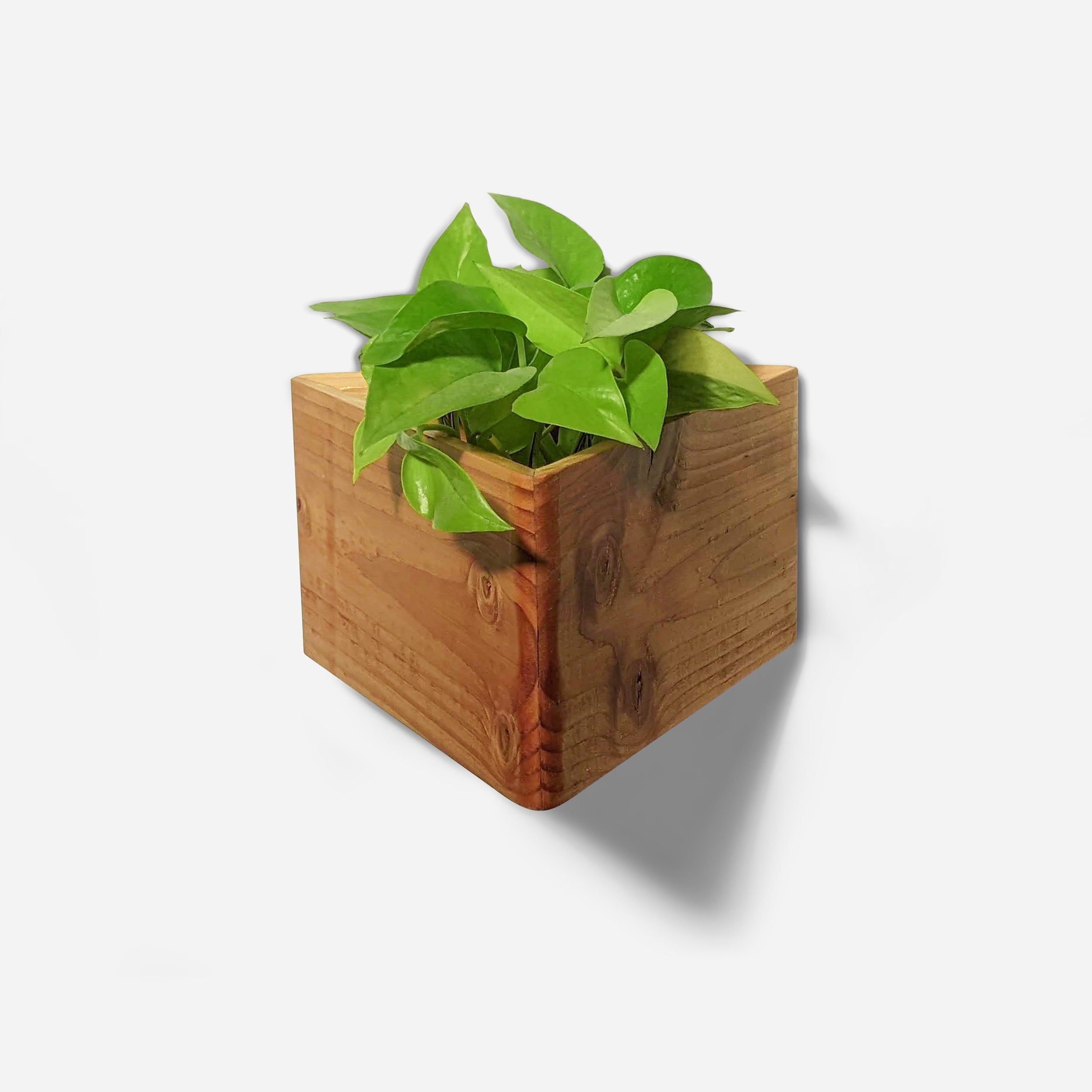 Triangle self-watering, wall-mounted planter by Formr