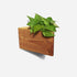 Triangle self-watering, wall-mounted planter by Formr