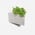 Triangle self-watering, wall-mounted planter by Formr